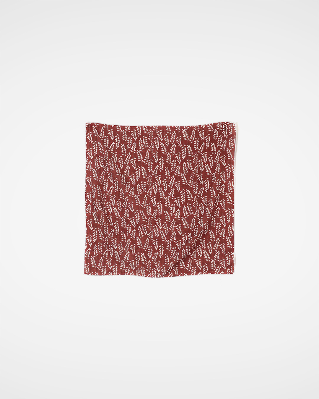 ���̹���